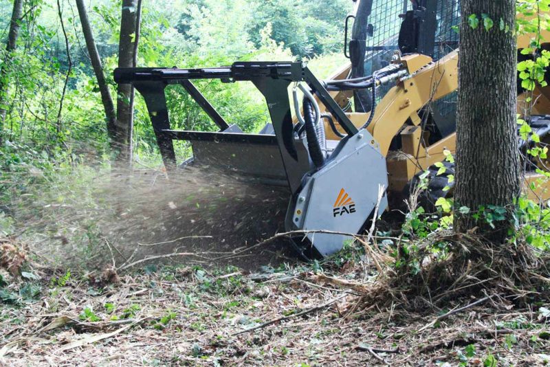 land-clearing-port-macquarie