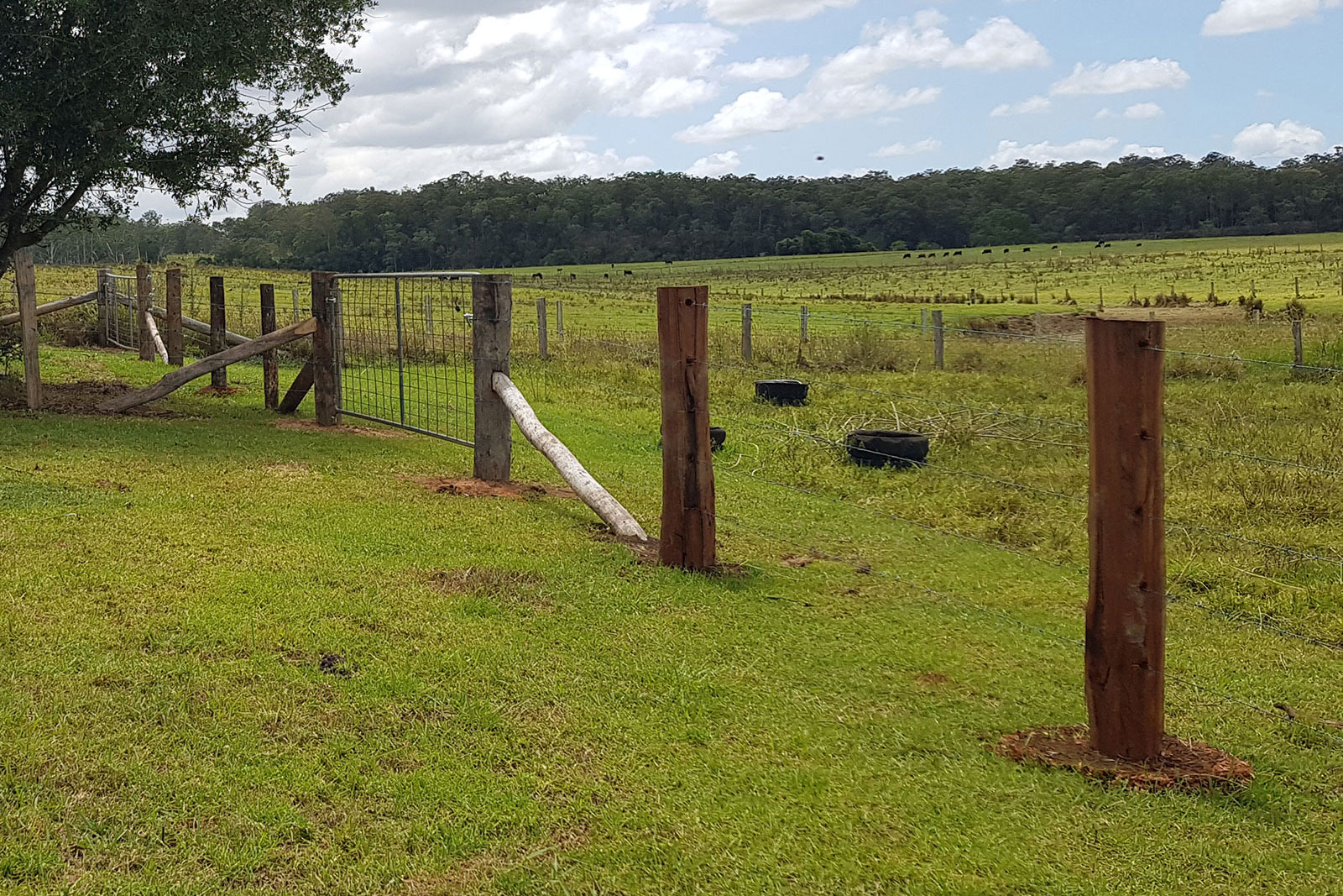 manning-valley-rural-fencing-contractor