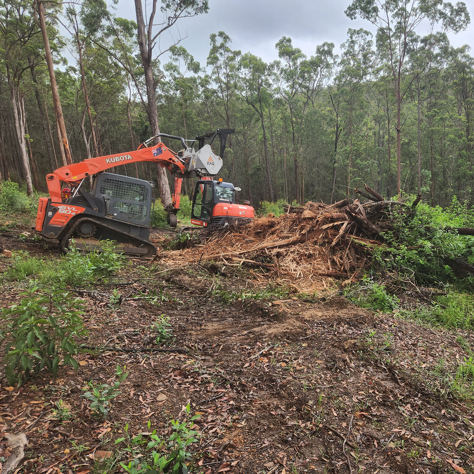 Forestry Mulching & Land Clearing Mid North Coast NSW by Agtech Rural ...