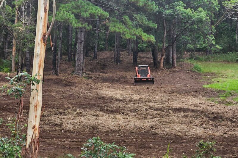 Forestry-mulching-2